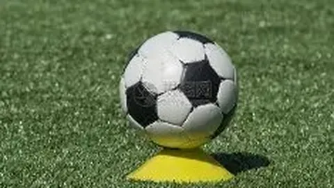 【暖阳微笑预测】2026023期三开机号码揭秘：试机号码前瞻，值跨度预测大揭秘：138不容错过！